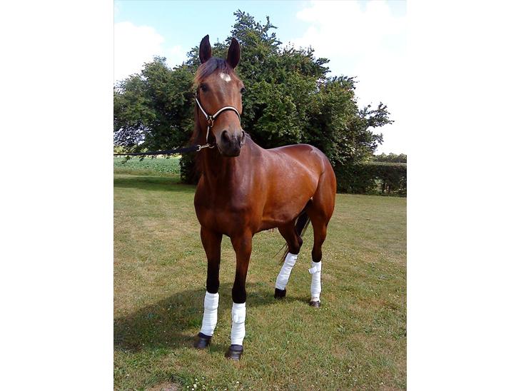 {{currentPhoto.altText}} billede {{currentPhoto.number}}