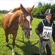 Frederiksborg Ferdinan