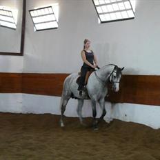 Lusitano Bemparecido
