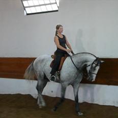 Lusitano Bemparecido