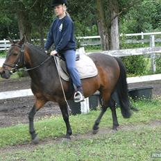 Anden særlig race Jasmin | dengang :)