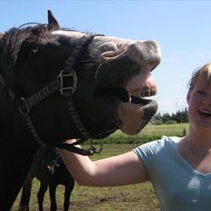 Anden særlig race Little claud junior *Red*