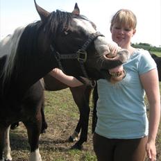 Anden særlig race Little claud junior *Red*