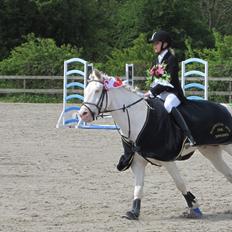 Connemara flying dutchman