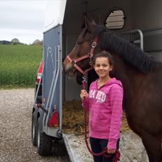 Anden særlig race Maddie "solgt"