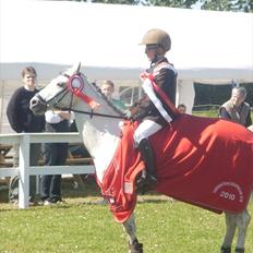 Anden særlig race Silverdream 