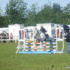 Anden særlig race Silverdream 