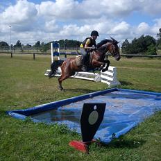 Anden særlig race Chanel