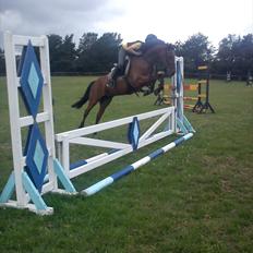 Anden særlig race Chanel