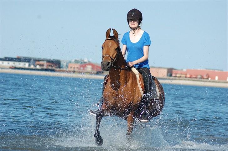 Arabisk fuldblod (OX) McAdoo ox - Hahaha xD Mig og McAdoo en skøn sommerdag ved vandet :] Foto: Jeanette billede 13