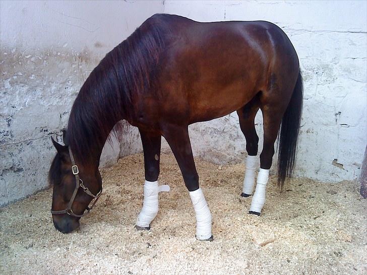 Traver Join the dream  billede 17