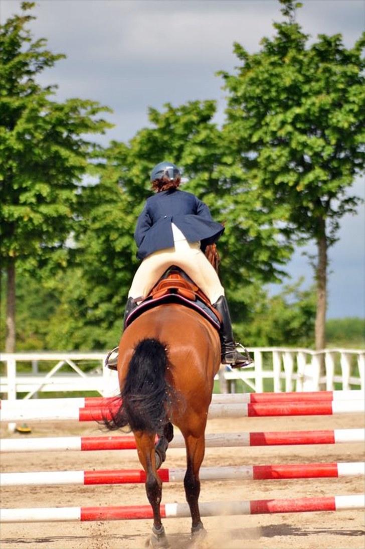 Dansk Varmblod Cappuchino - Første springstævne ULC og ULB til Skaarupgaard Distriksstævne 25-26/6 billede 36