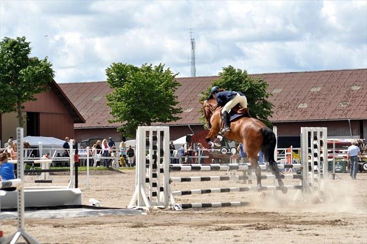 Dansk Varmblod Cappuchino - Første springstævne ULC og ULB til Skaarupgaard Distriksstævne 25-26/6 billede 35