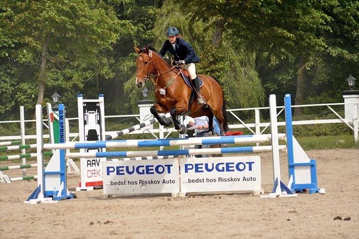 Dansk Varmblod Cappuchino - Første springstævne ULC og ULB til Skaarupgaard Distriksstævne 25-26/6 billede 37