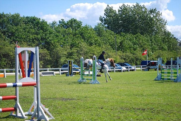 Anden særlig race Fire Fly   billede 16