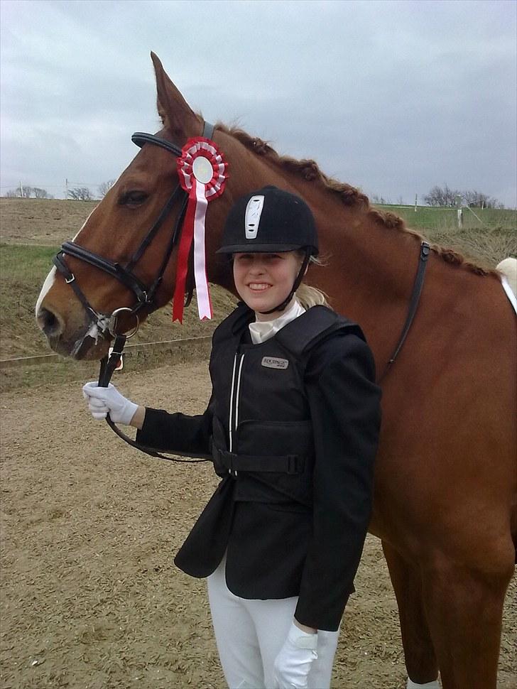 Anden særlig race Magnus billede 12