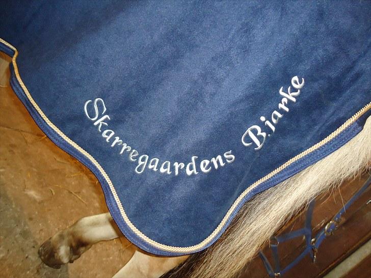 Fjordhest Skarregaardens Bjarke billede 12