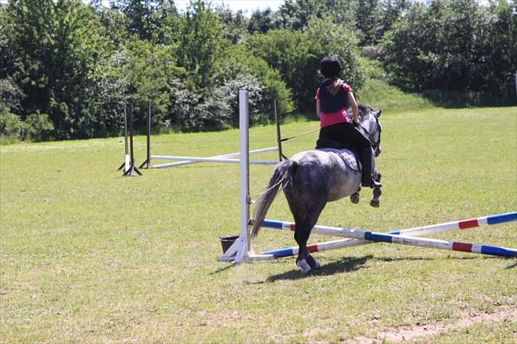 Welsh Pony (sec B) Lukas - Springbillede fra ridelejr 2010,  minispring for mig og Lukas ;) billede 9