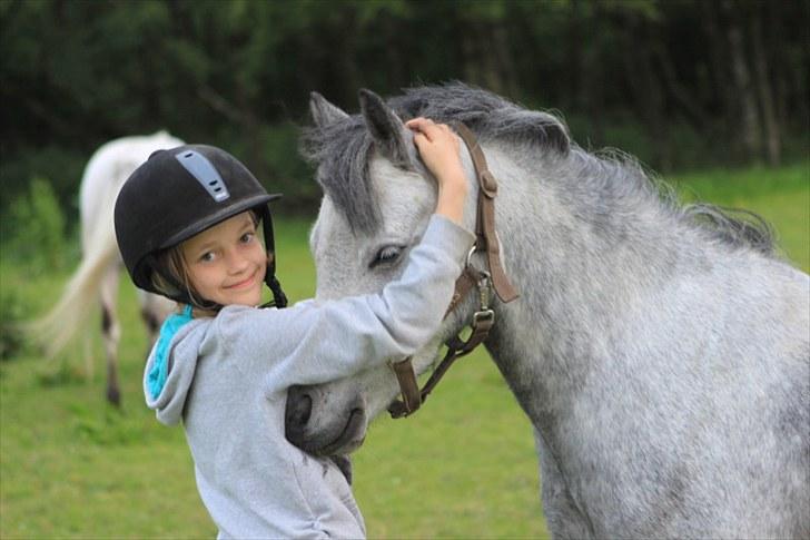 Welsh Pony (sec B) Lukas - Hvor er han nuttet, min lille snutski <3
Ridelejr 2010 billede 11
