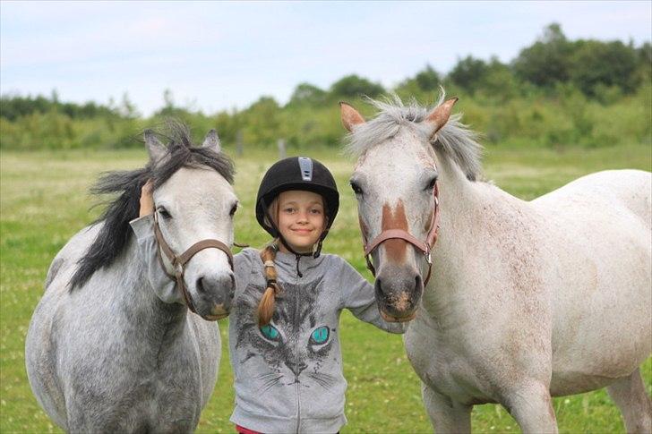 Anden særlig race SKOVGÅRDENS SHARNIE<3 -ninja-gede-knirke- - 17) Fordi i er en stor del af min hverdag billede 10