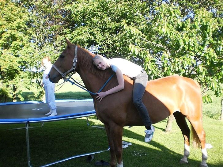 Anden særlig race Magnus billede 15