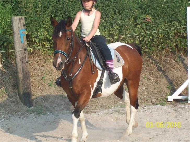 Anden særlig race  bella billede 6