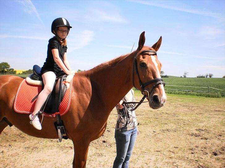Anden særlig race Magnus billede 20
