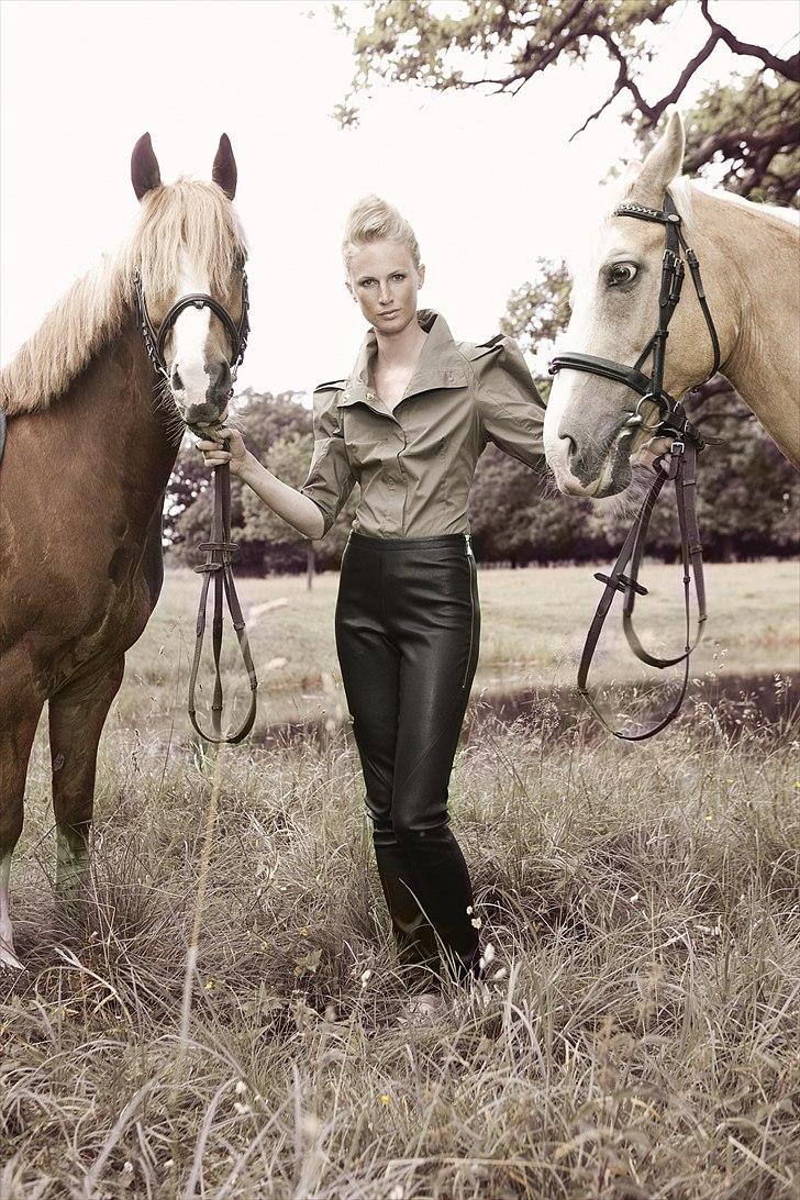 Welsh Cob (sec D) Whitesocks (White Feet) - en gang da vi var på tur og nogle der spurgte om de måtte bruge vores heste til modelbilleder <3 billede 12