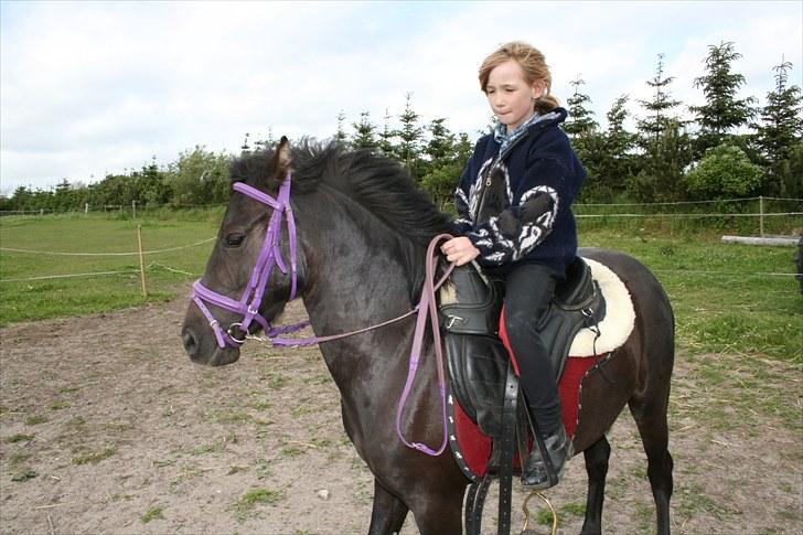 Anden særlig race Quite Beauty* solgt* billede 8