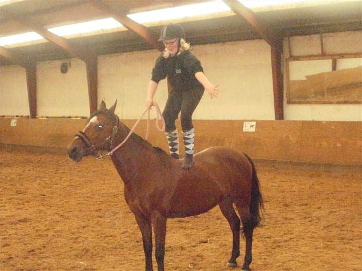 Anden særlig race Nikoline *SOLGT* billede 3