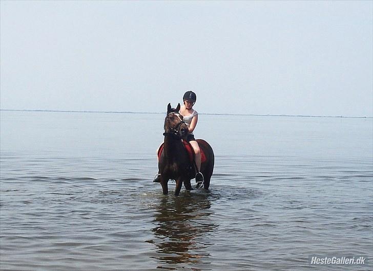 Anden særlig race Nikoline *SOLGT* - En tur i fjorden med Kamilla, Helene og sacha!! billede 5