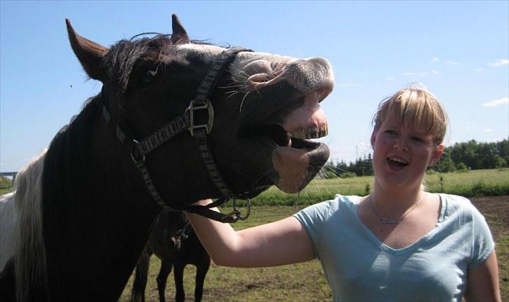 Anden særlig race Little claud junior *Red* billede 1