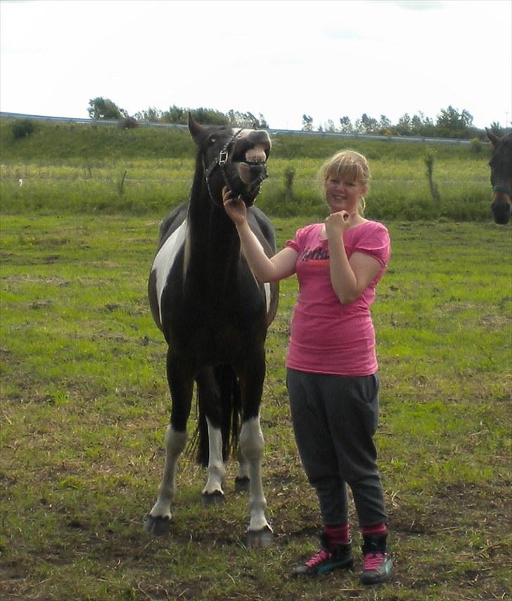 Anden særlig race Little claud junior *Red* billede 11