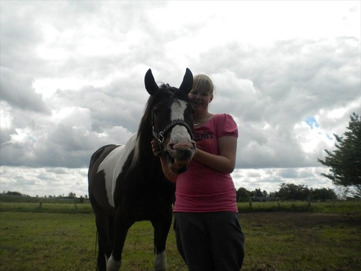 Anden særlig race Little claud junior *Red* billede 12