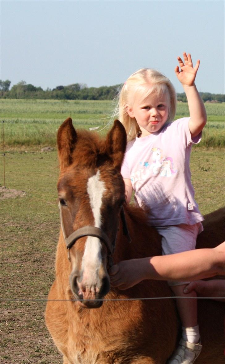 Schleswiger Enzo Toft - Enzo og min niece Kristinna Foto Jørgen med HH` kamera billede 15