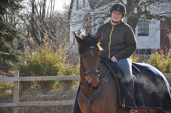 Holstener Wajes Capice (Følle) - Træning d. 28-03-11. Foto Julie Pedersen billede 6