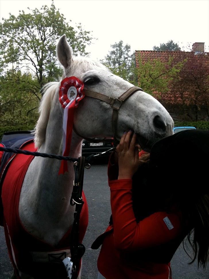 Anden særlig race victor - B pony † R.I.P † - min stjerne <3 billede 12