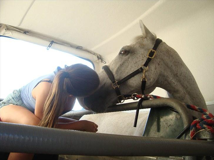 Anden særlig race victor - B pony † R.I.P † - lidt sød er du vel? (: billede 13