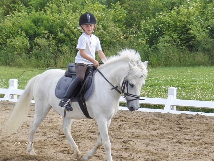 Anden særlig race Flying Snow (solgt 10/2-12) billede 9
