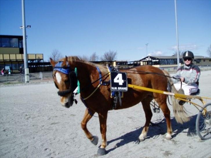 Anden særlig race trunte billede 20