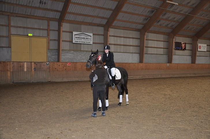 Anden særlig race Just Me - Har lige Vundet Lb1 :D billede 4