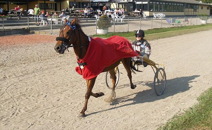 Anden særlig race noller  billede 14