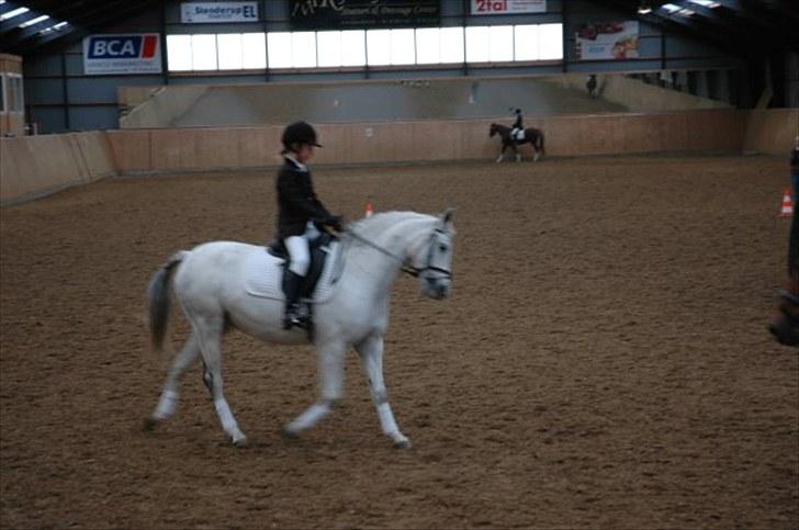 Tysk Sportspony Freja (SOLGT) :'( billede 16