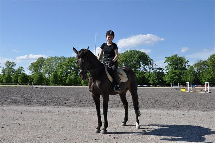 Anden særlig race Just Me - FINE JUSTEN :D Elsker den HEST :D billede 8