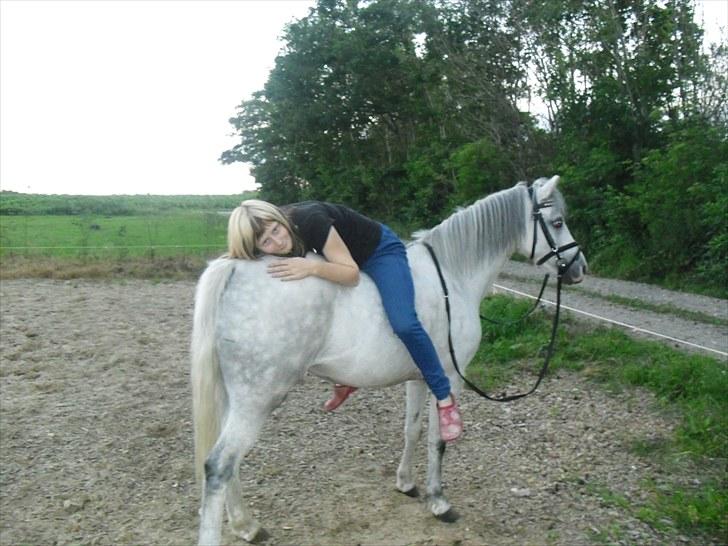 Welsh Mountain (sec A) Fakla Geraldine<3 - Mig der lægger på Geraldine mus<3... :) billede 12