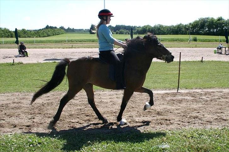 Islænder Björk fra Juelsgård - Vores første stævne - Vendsyssel Open 2010 billede 14