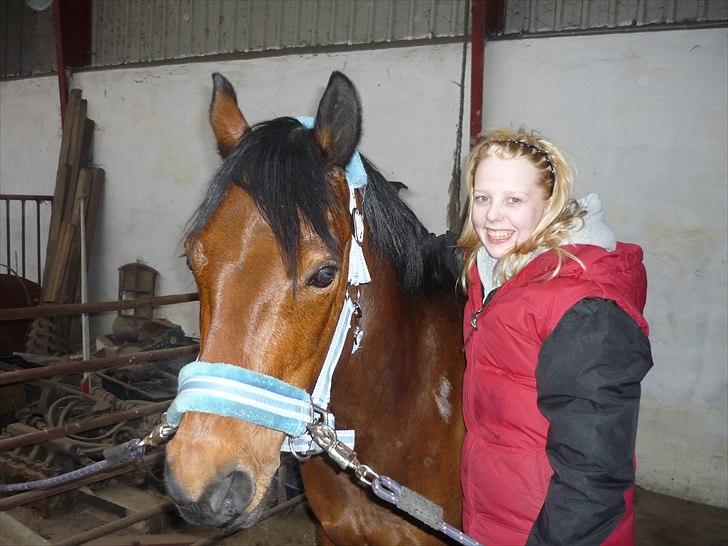 Connemara Maskenkol's Rebelix - Hygge i stalden efter en dejligt ridetur d. 30-03-2011:D Elsker dig mus! billede 8