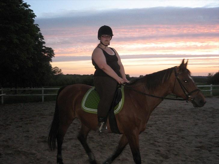 Dansk Varmblod Majbrit. RIP billede 7