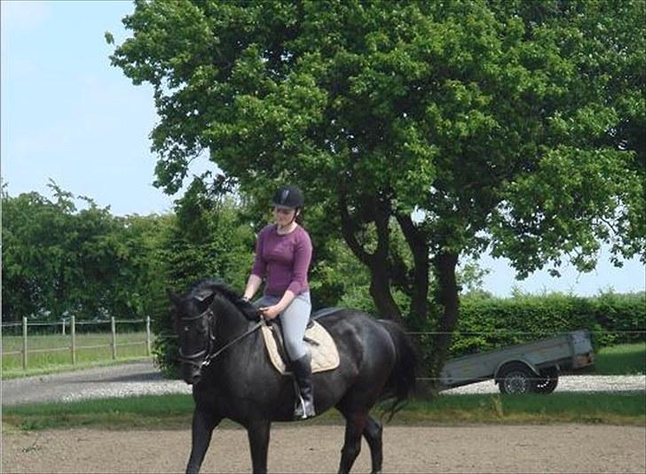 Fuldblod (XX) Ferrari (R.I.P) <3 billede 17