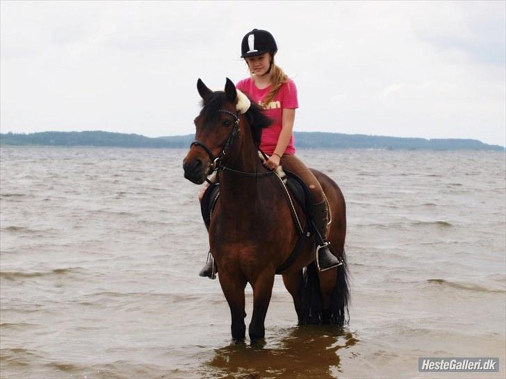 New Forest Mankehøjs Glamour<3 SOLGT:'-( - på stranden... when U smile I smile<3 billede 1